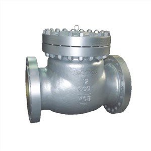 Salıncak Tipi Çek Valf